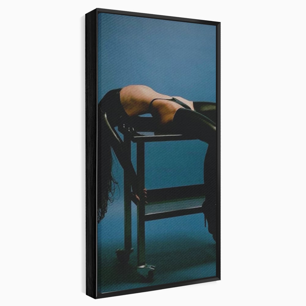 Tablou canvas cu tablou canvas cu silueta curbata pe masa, in rama de aluminiu negru